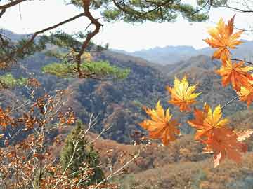 米非司酮片全国药店微信多哥议会选举德托夫为总统