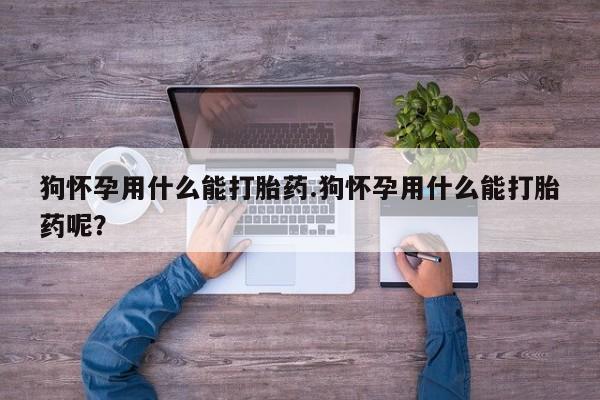 米非司酮片全国药店微信狗怀孕用什么能打胎药.狗怀孕用什么能打胎药呢？