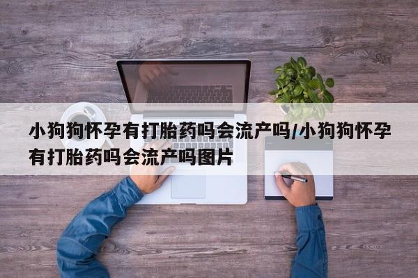 米非司酮片全国药店微信小狗狗怀孕有打胎药吗会流产吗/小狗狗怀孕有打胎药吗会流产吗图片