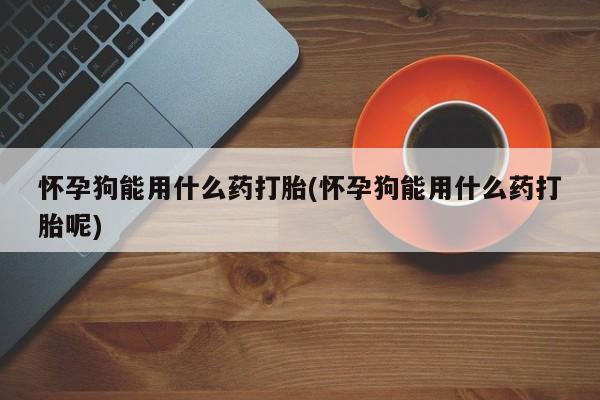 米非司酮片全国药店微信怀孕狗能用什么药打胎(怀孕狗能用什么药打胎呢)